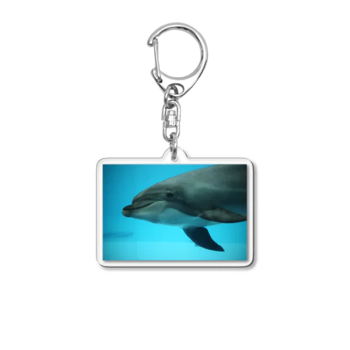 イルカ Acrylic Key Chain