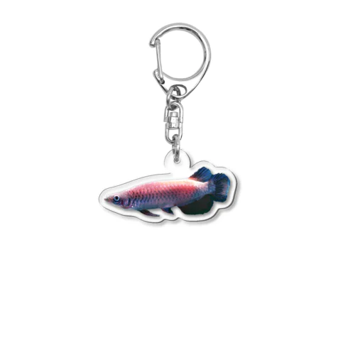 空槽アクアリウム　熱帯魚 Acrylic Key Chain