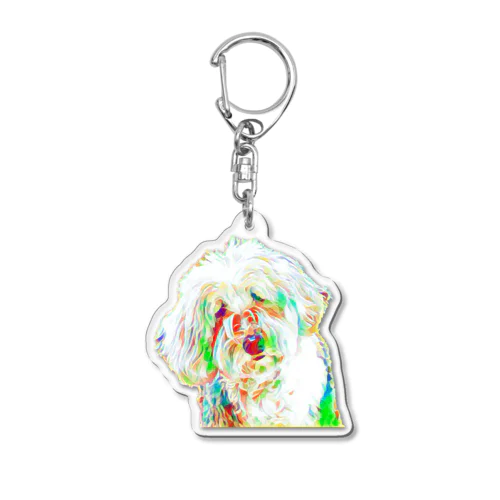 Fluffy Candy Acrylic Key Chain