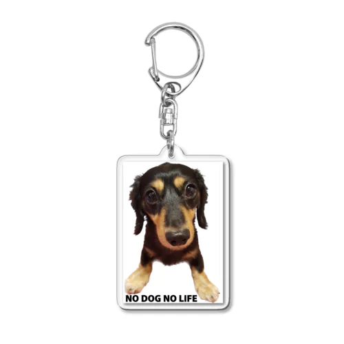 犬が居なければ生きていけない Acrylic Key Chain