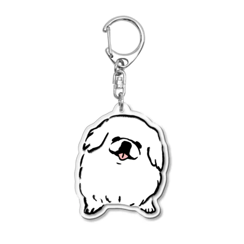 ペキニーズ　【せいこせんせい】 Acrylic Key Chain