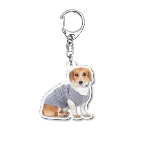 small dog  Acrylic Key Chain