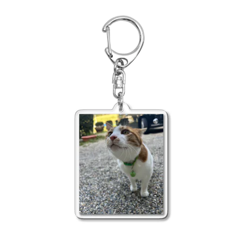 こてっちゃん2 Acrylic Key Chain