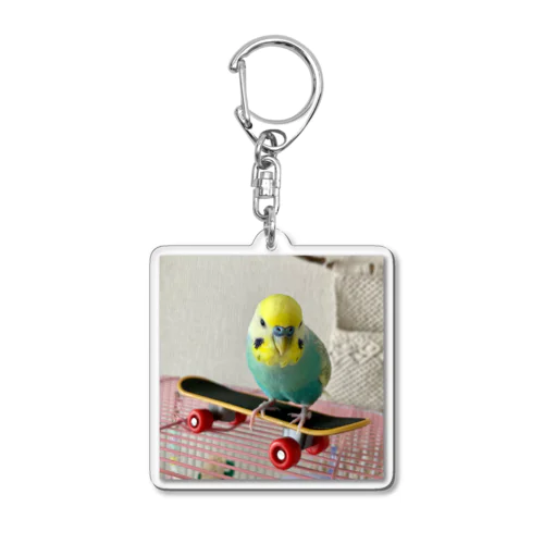 スケボーインコ Acrylic Key Chain