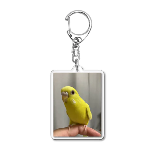 ルチノーインコ Acrylic Key Chain