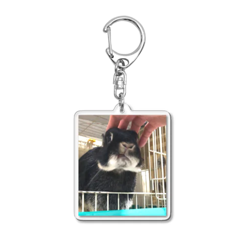 おけだまちゃんのお口が異次元 Acrylic Key Chain