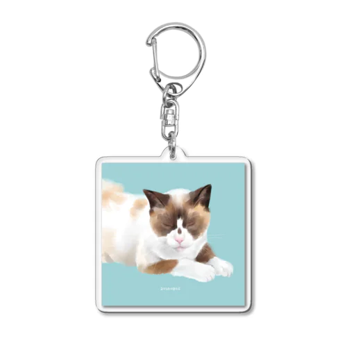 【うちねこちゃん】たぬきおやじ Acrylic Key Chain