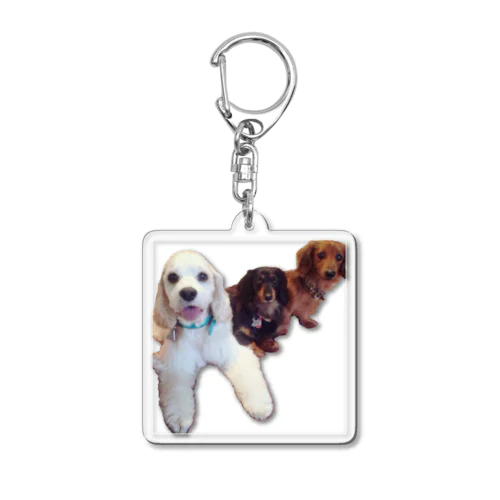 Dog Lover Acrylic Key Chain