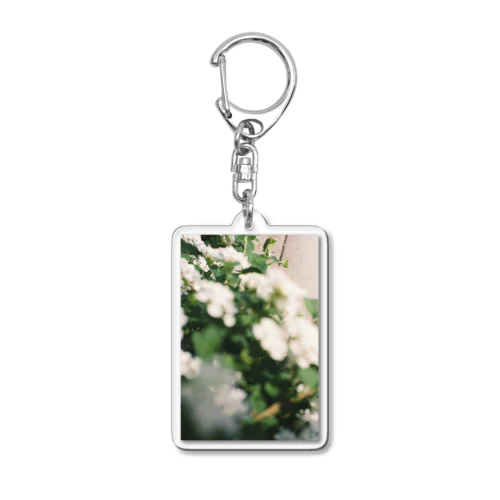 霞草 Acrylic Key Chain