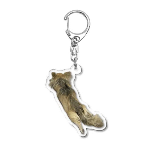 溶けるチワワ🐶 Acrylic Key Chain