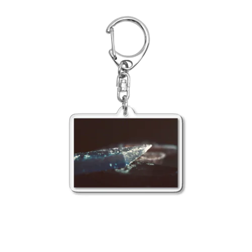 soap boat Acrylic Key Chain