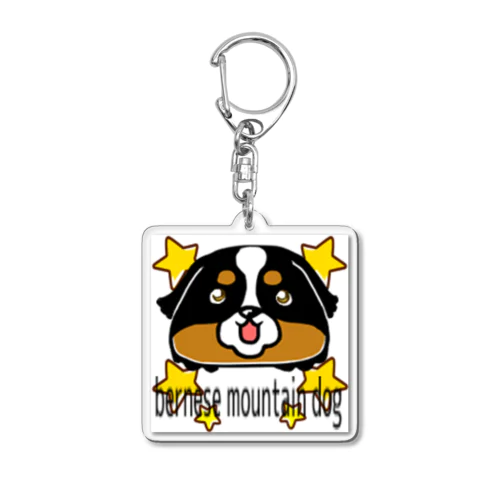 星と共に　バーニーズ　わんわん♡わんダフル Acrylic Key Chain