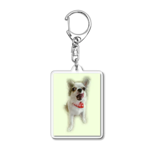 わんだふる造園二代目代表ななちゃんです Acrylic Key Chain