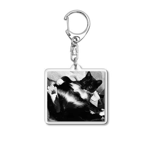 sexy cat Acrylic Key Chain