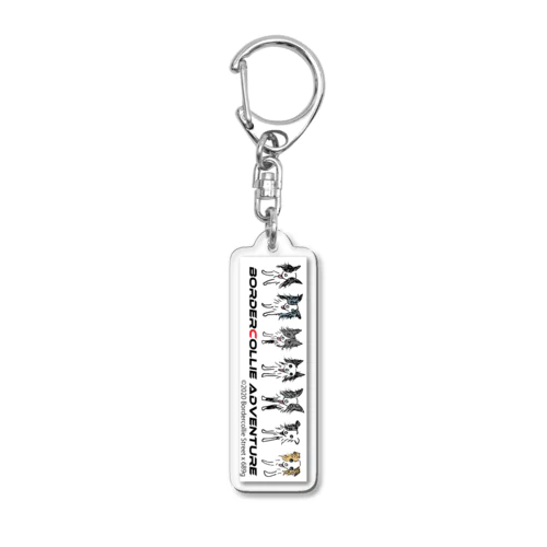 BCA9-6 Acrylic Key Chain