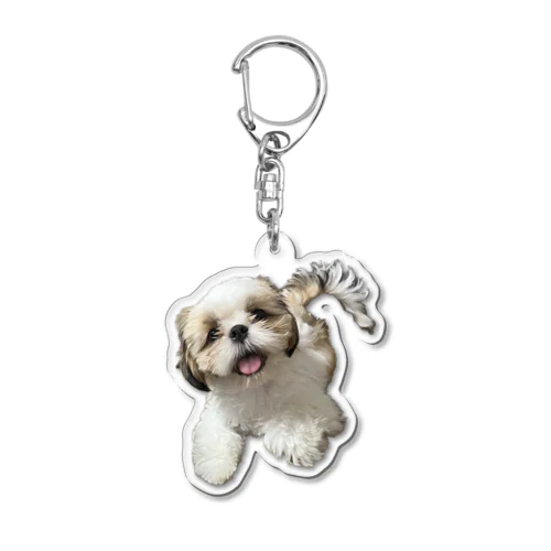 狐月(こつき)の愛犬茶々丸 Acrylic Key Chain