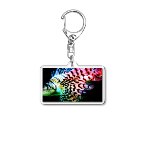 ハナミノカサゴ Acrylic Key Chain