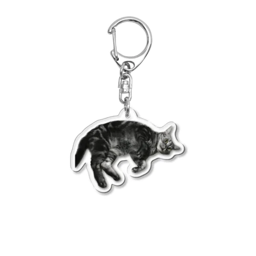 アメショーのひめちゃん⑥ Acrylic Key Chain