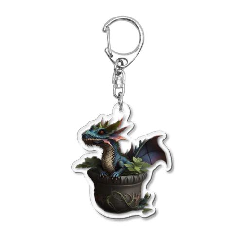 ポットドラゴン Acrylic Key Chain