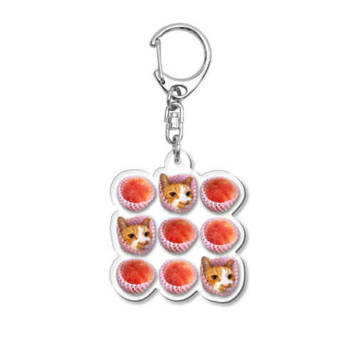 桃猫ちゃん Acrylic Key Chain