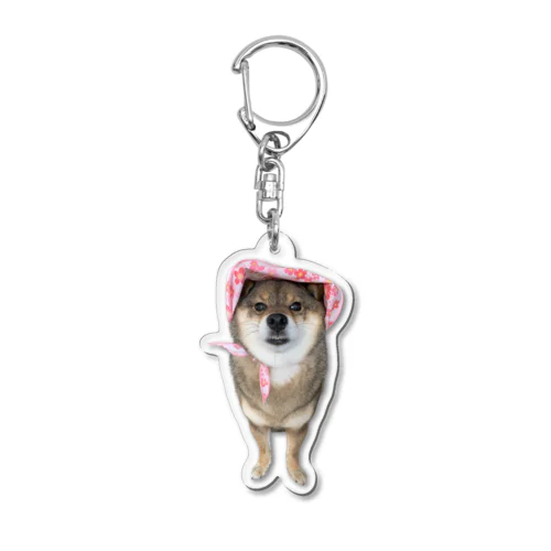 胡麻柴犬ずきんシンプル Acrylic Key Chain
