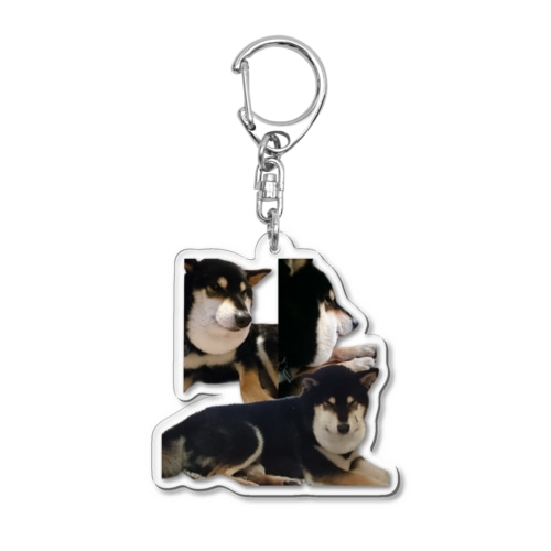 マムシ柴犬詰め合わせ Acrylic Key Chain