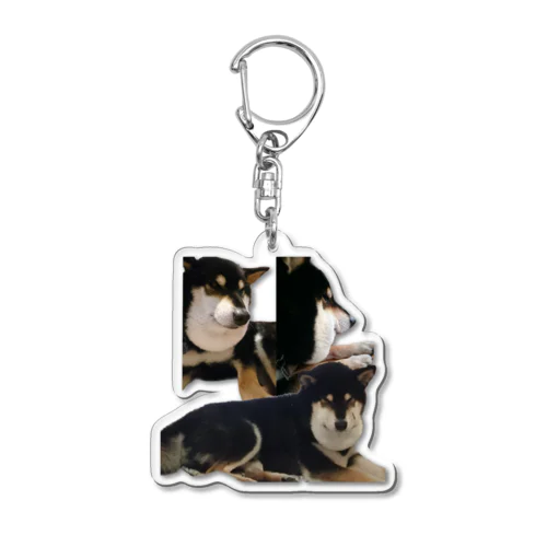 マムシ柴犬詰め合わせ Acrylic Key Chain