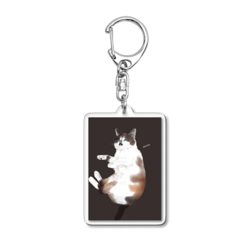 【うちねこちゃん】たぬき Acrylic Key Chain