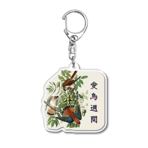 「愛鳥週間」　オーデュボンの鳥 Acrylic Key Chain