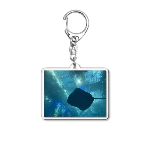 えいくん Acrylic Key Chain