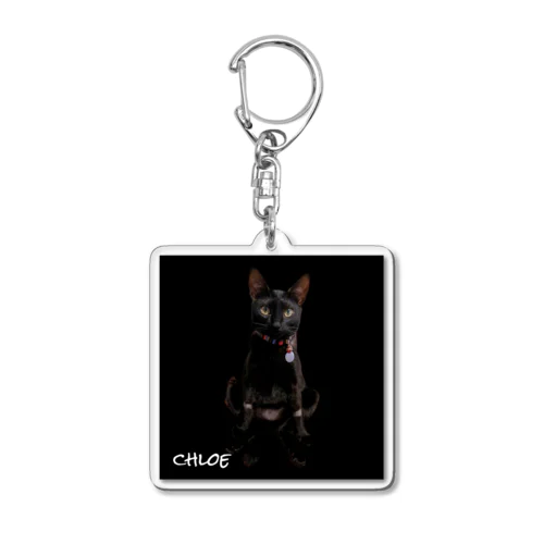 Chloe Acrylic Key Chain