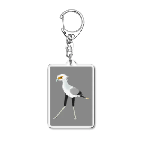 ビビリペンギンのヘビクイワシ Acrylic Key Chain