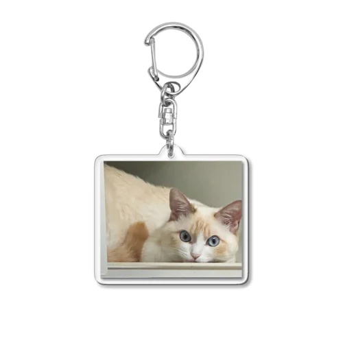 sleep on a shelf Acrylic Key Chain