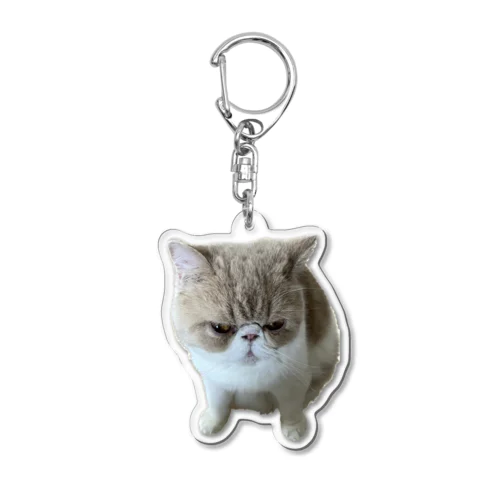 ごはんまだキーホルダー Acrylic Key Chain