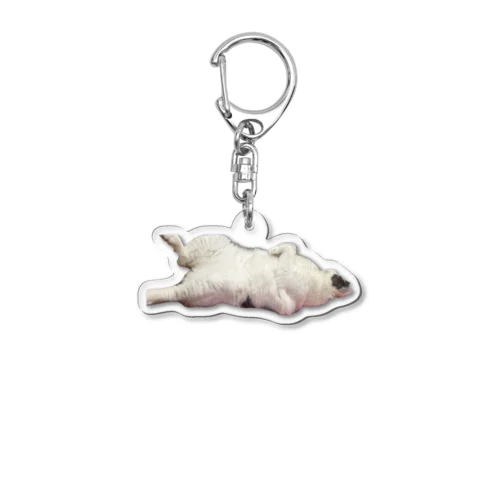 へそ天 Acrylic Key Chain