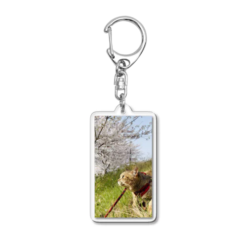 すずちゃん桜キーホルダー Acrylic Key Chain