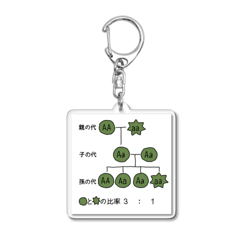 メンデルの法則を学ぼう Acrylic Key Chain