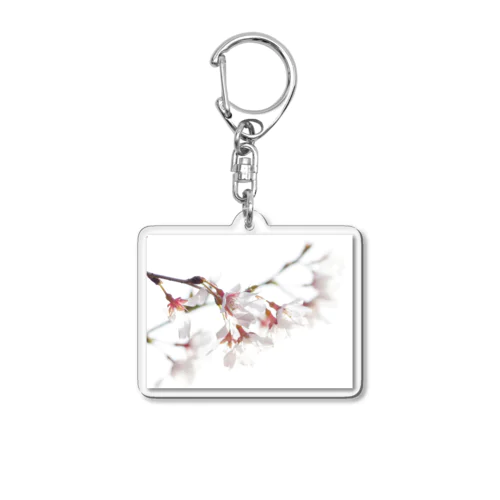 春の訪れを告げる美しい桜の花びら Acrylic Key Chain