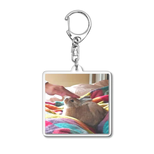 うさぎとの遭遇 Acrylic Key Chain