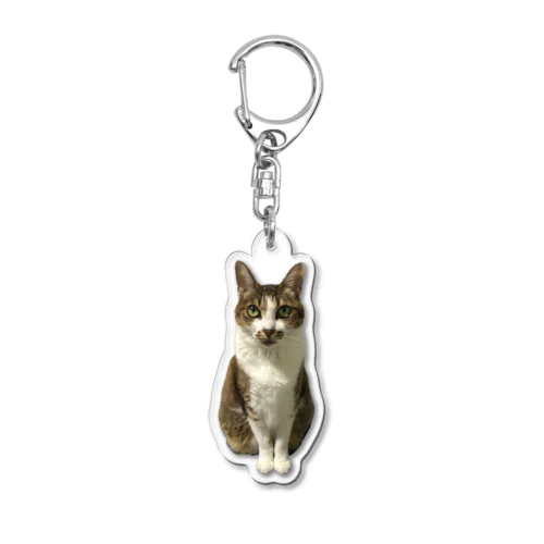 猫のチビ② Acrylic Key Chain