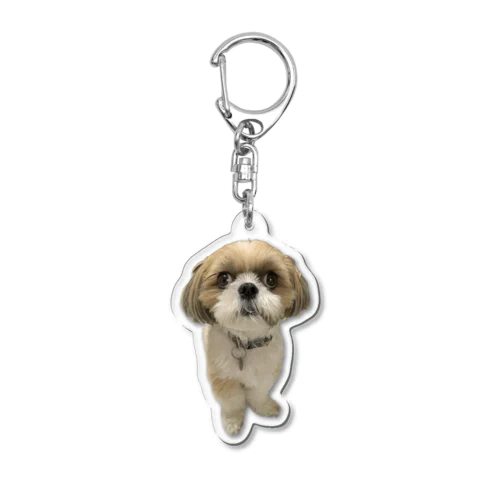 シーズー犬・ルーさんのアイテム Acrylic Key Chain