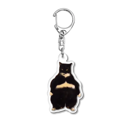 猫なのか？ Acrylic Key Chain