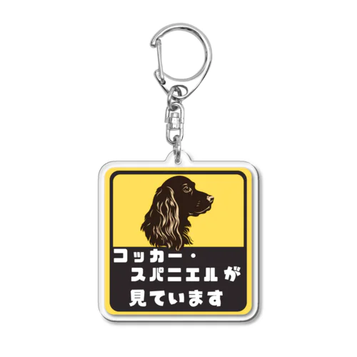 コッカー・スパニエルが（あなたを）見ています Acrylic Key Chain