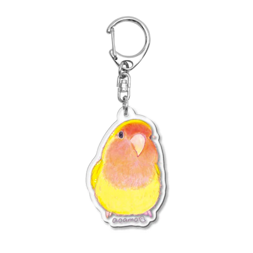 コザクラインコゴールデンチェリー Acrylic Key Chain