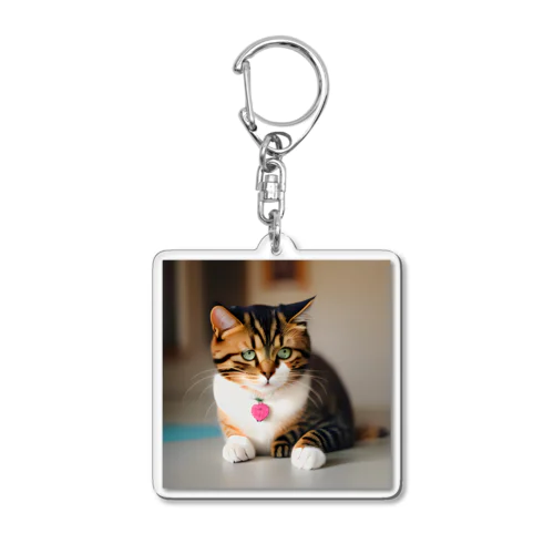 可愛い猫のグッズ Acrylic Key Chain