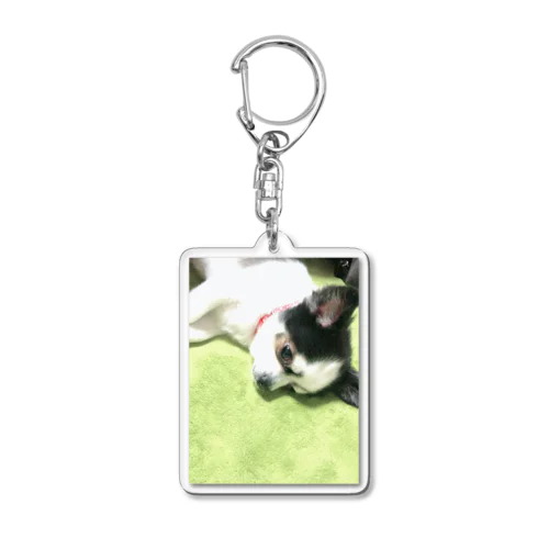 かわいいチワワ Acrylic Key Chain