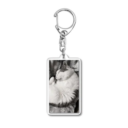 可愛い猫のお昼寝　癒し Acrylic Key Chain