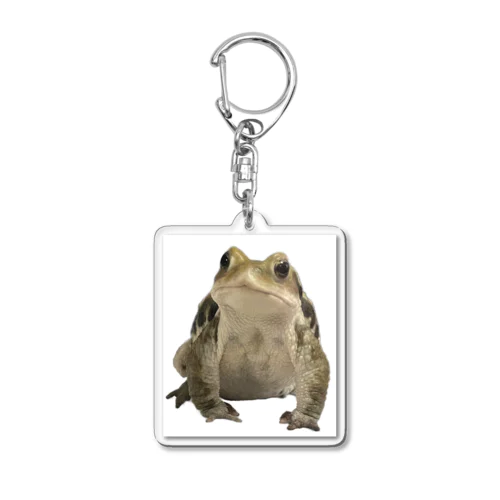 my sweetest toad 2023 ver.A Acrylic Key Chain