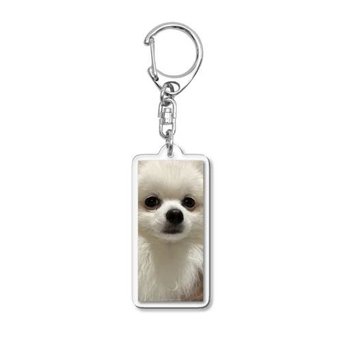 うちの犬のポメ Acrylic Key Chain