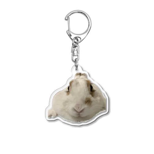 白いうさぎが可愛い Acrylic Key Chain